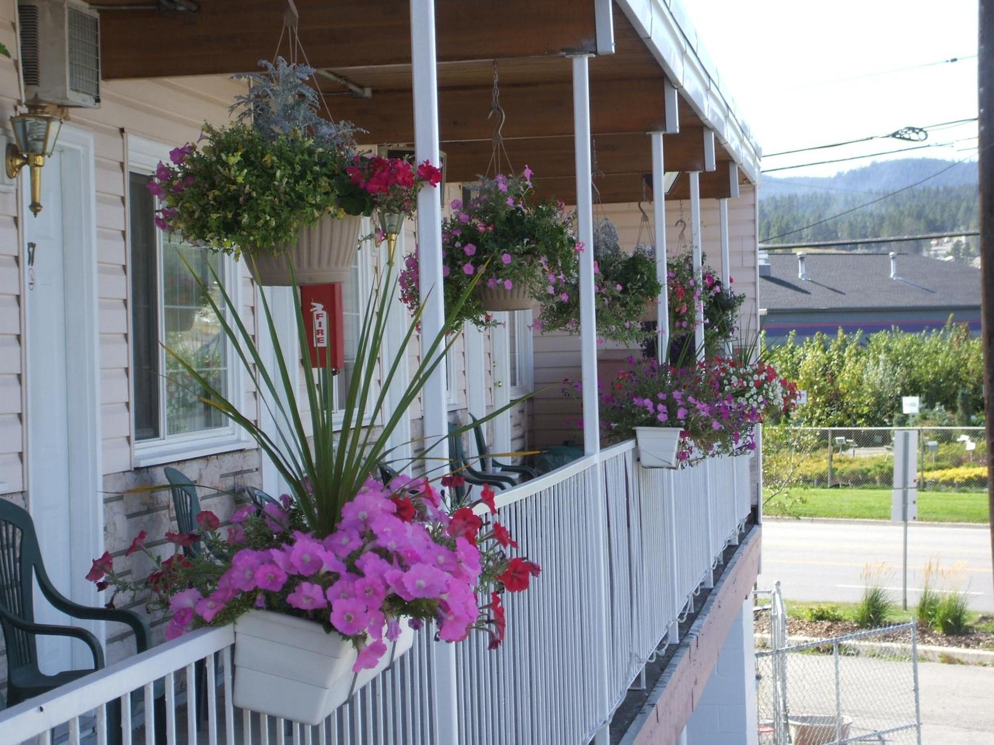 Travellers Motel Cranbrook Exterior photo